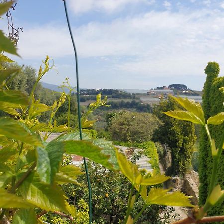 Casa Di Ingrida Bussana Vecchia Villa Sanremo Eksteriør bilde