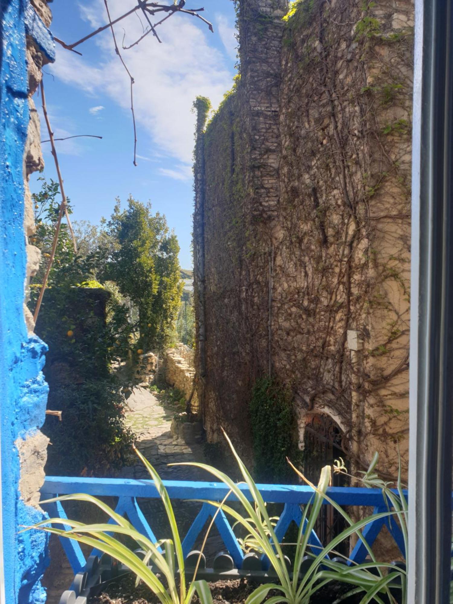Casa Di Ingrida Bussana Vecchia Villa Sanremo Eksteriør bilde